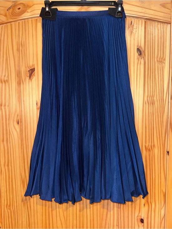 Polo Ralph Lauren Dresses & Skirts - NWT Polo Ralph Lauren Pleated Georgette Skirt Navy Blue